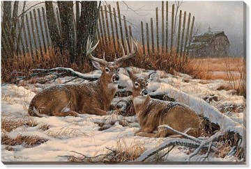 Refuge du brise vent Whitetail Deer Peinture à l'huile